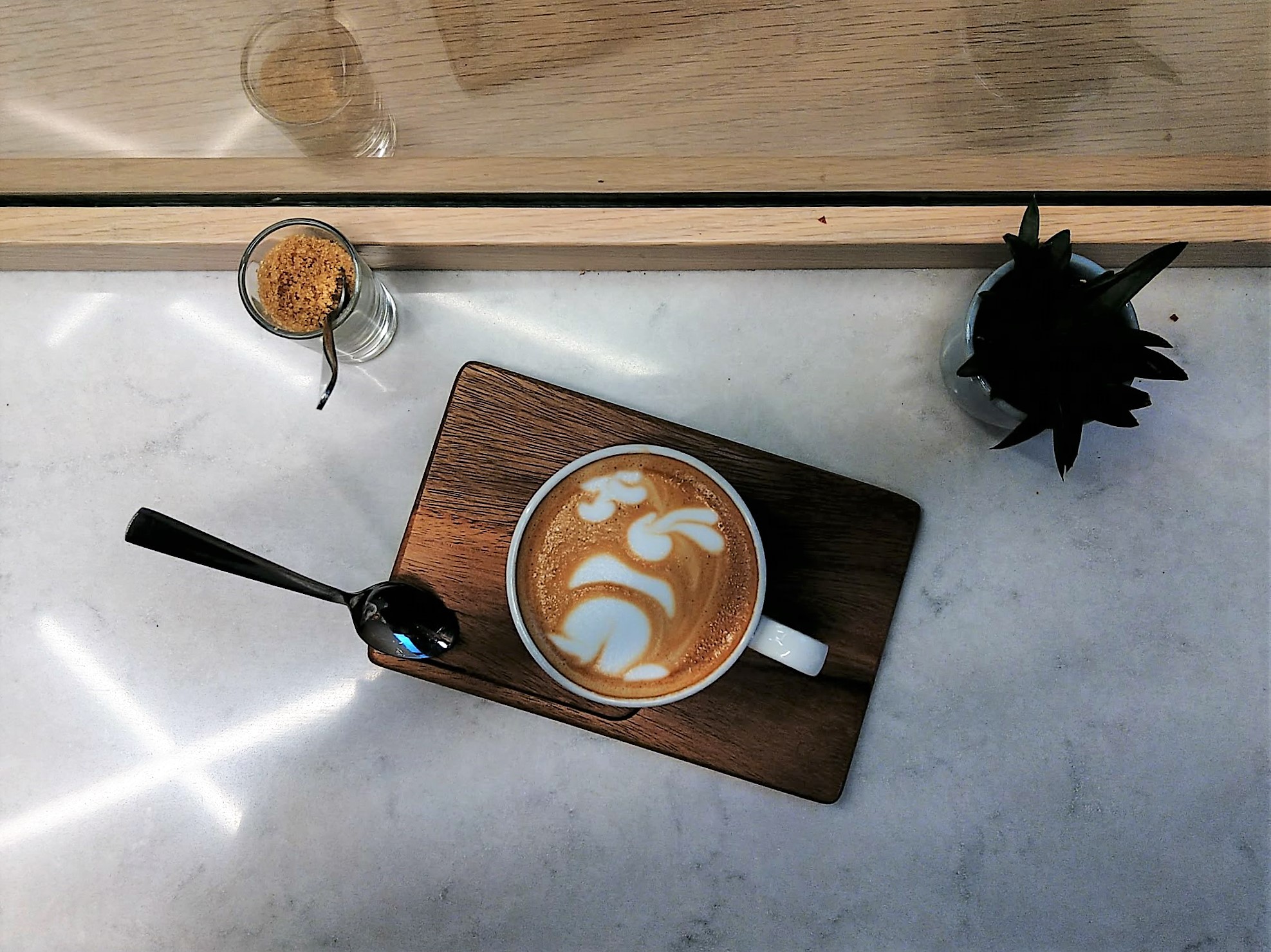 Coffee News in Dublin featuring barista Daniel Horbat